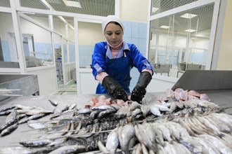 Защитные фартуки из ПВХ тканей