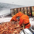 ткани на трикотажной основе с пвх покрытием, sioen