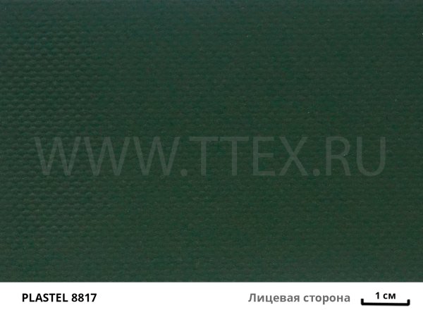 PLASTEL 8817 лиц с вз